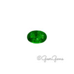 1.69ct Tsavorite Garnet - Oval