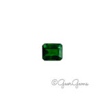 1.09ct Tsavorite Garnet - Square Emerald Cut