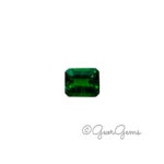 1.0ct Tsavorite Garnet - Square Emerald Cut