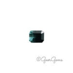 1.22ct Bi Colour Tourmaline - Octagon Cut