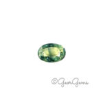 1.26ct Peacock Sapphire - Oval