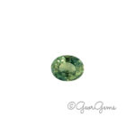 0.53ct Peacock Sapphire - Oval