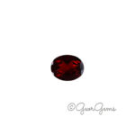 2.72ct Garnet - Oval