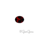 2.83ct Garnet - Oval