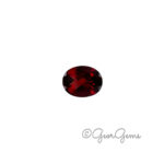 2.93ct Garnet - Oval