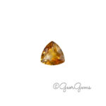 2.90ct Citrine - Triangular Cushion