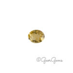 3.10ct Citrine - Oval