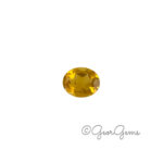 3.19ct Citrine - Oval
