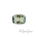 9.44ct Prasiolite - Rectangular Cushion