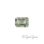 11.99ct Prasiolite - Emerald Cut