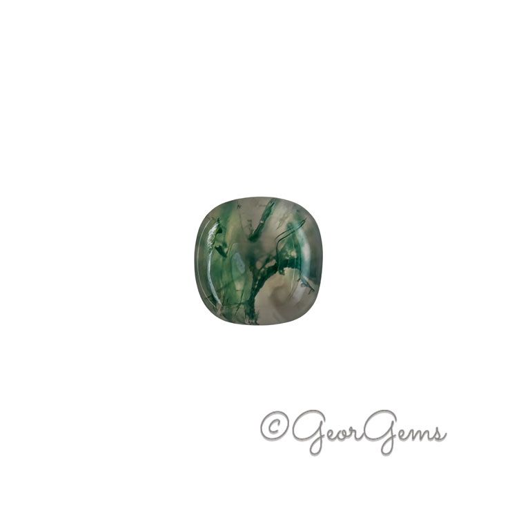25961 2.43ct Moss Agate - Square Cushion Cabochon