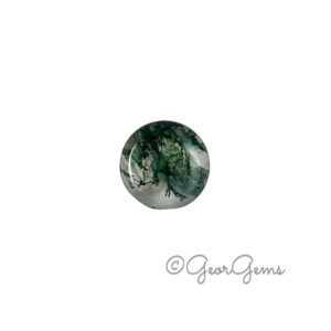 2.90ct Moss Agate - Round Cabochon