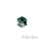 1.40ct Moss Agate - Hexagon
