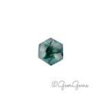 1.46ct Moss Agate - Hexagon