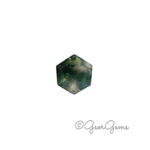 1.62ct Moss Agate - Hexagon