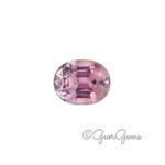 10.14ct Kunzite - Oval