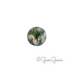 4.77ct Moss Agate - Round