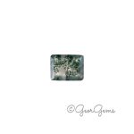 2.49ct Moss Agate - Rectangular Step Cut
