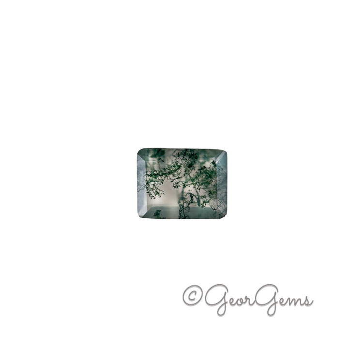 26008 2.49ct Moss Agate - Rectangular Step Cut