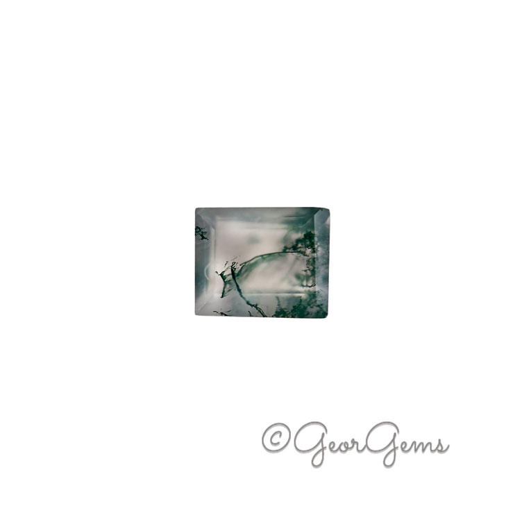 26010 2.84ct Moss Agate - Rectangular Step Cut