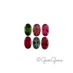 1.41tcw Tourmaline - Oval
