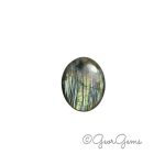 55.29ct Labradorite - Oval Cabochon