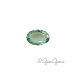 16.94ct Fluorite - Oval
