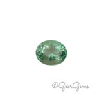 18.96ct Fluorite - Oval