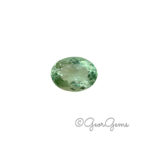 13.24ct Fluorite - Oval