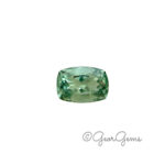 11.33ct Fluorite - Rectangular Cushion