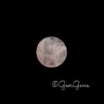 64.20ct Rose Quartz - Round Cabochon