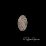 90.97ct Rose Quartz - Oval Cabochon
