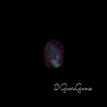 6.08ct Black Opal - Oval Cabochon
