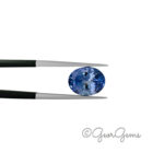 2.83ct Tanzanite - Oval