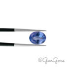 2.69ct Tanzanite - Oval