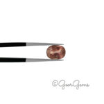 3.45ct Pink Sapphire - Oval