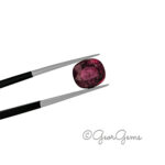 3.01ct Pink Sapphire - Cushion - Image 2