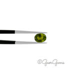 0.96ct Green Tourmaline - Oval