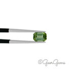 1.04ct Green Tourmaline - Emerald Cut