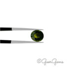 1.70ct Green Tourmaline - Oval