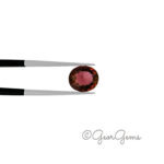 1.56ct Red Tourmaline - Oval