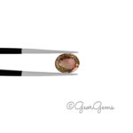 2.03ct Orange Tourmaline - Oval