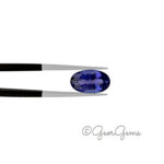 3.41ct Tanzanite - Oval