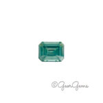 Blue Moissanite - Emerald Cut (7x5-9x7mm)