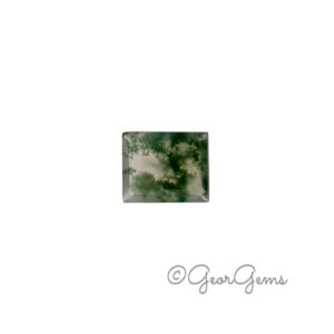 3.46ct Moss Agate - Rectangular Step Cut