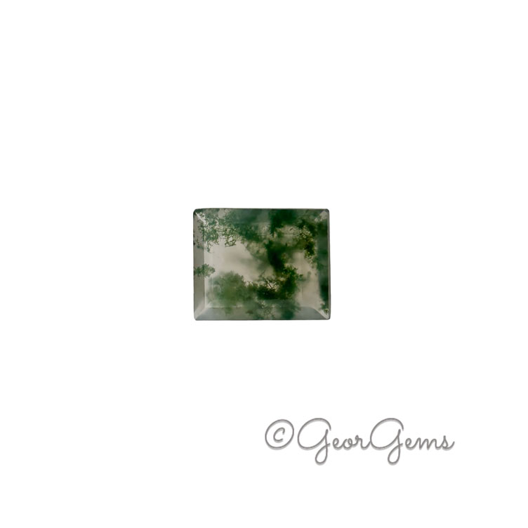 27537 3.46ct Moss Agate - Rectangular Step Cut