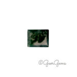 3.39ct Moss Agate - Rectangular Step Cut