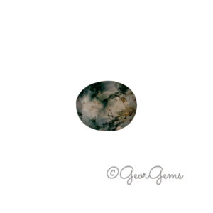 2.97ct Moss Agate - Oval