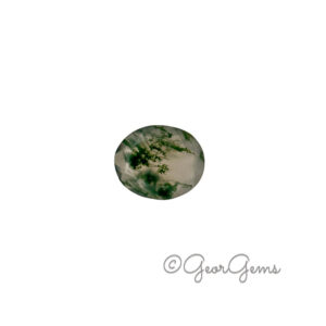 3.59ct Moss Agate - Oval