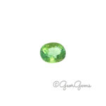 3.72ct Tourmaline - Oval